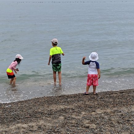 kids playing at the beach