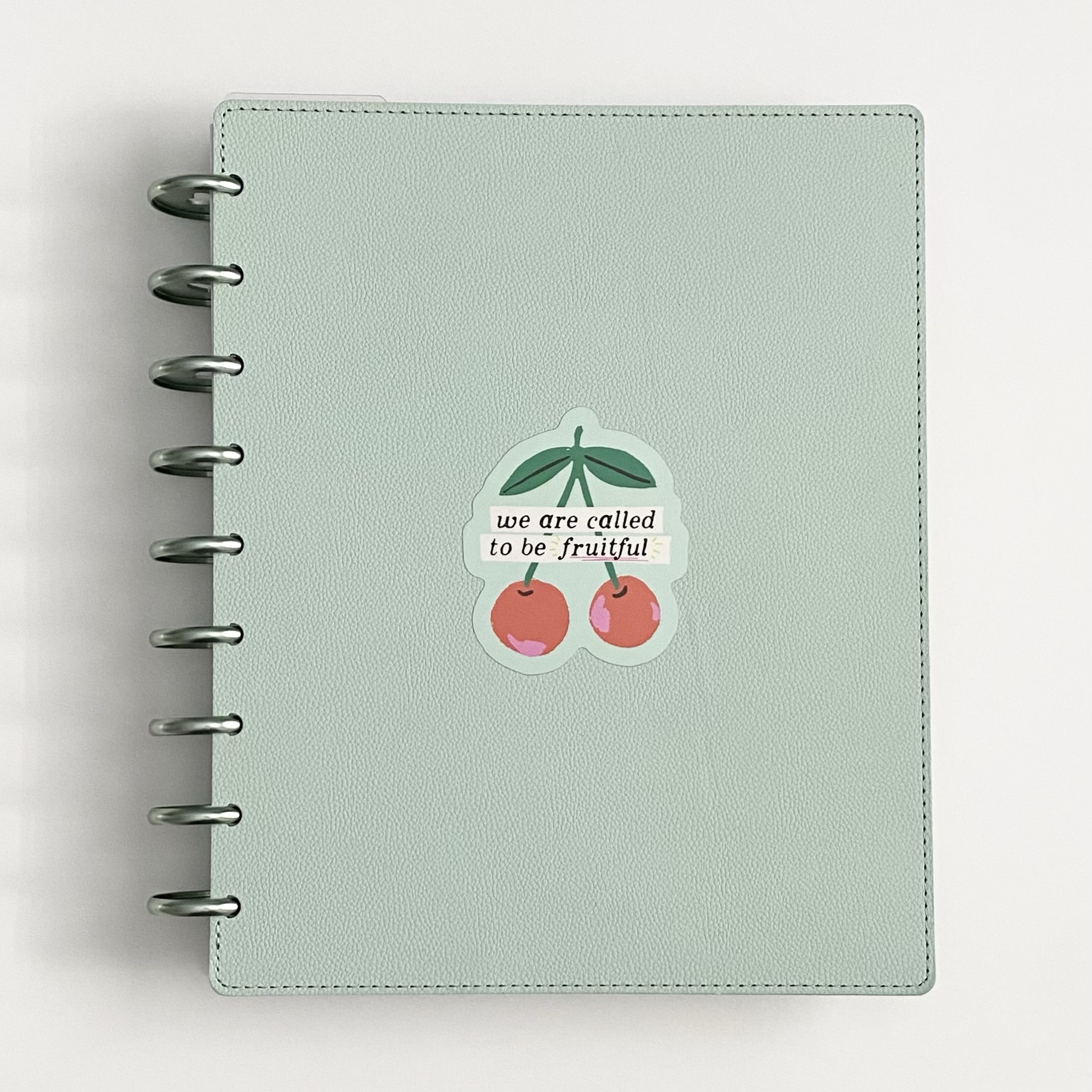 Beholding and rejoicing